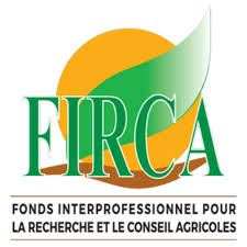 Firca